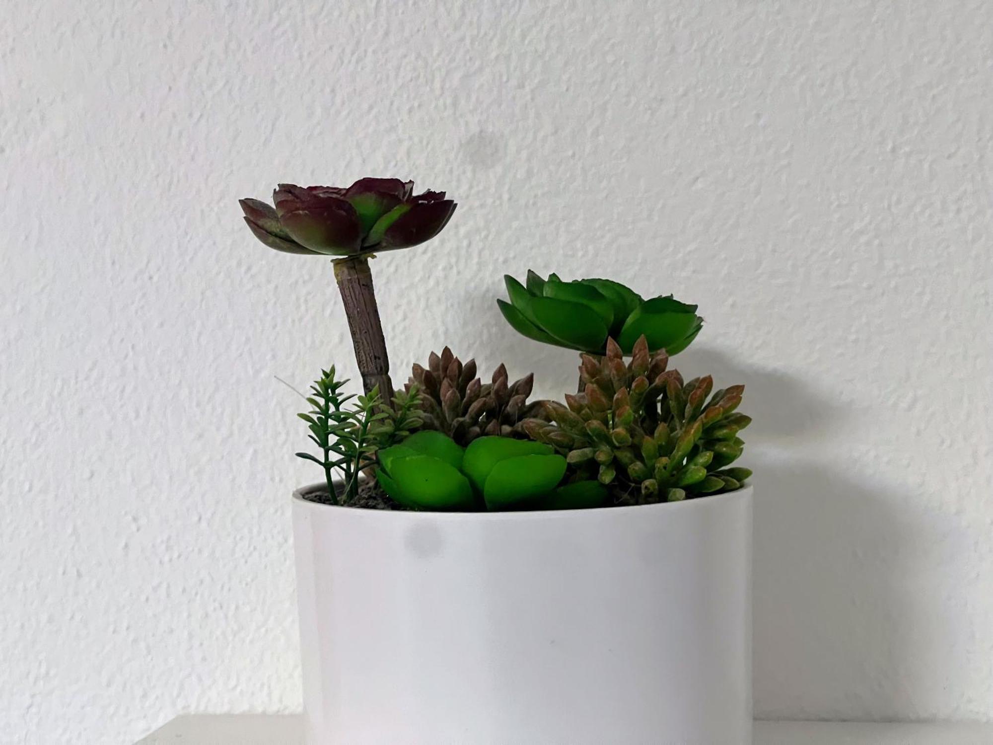 Blago Split Center Apartment Bagian luar foto